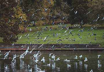 What Everyone Ought to Know About Sustainable Travel